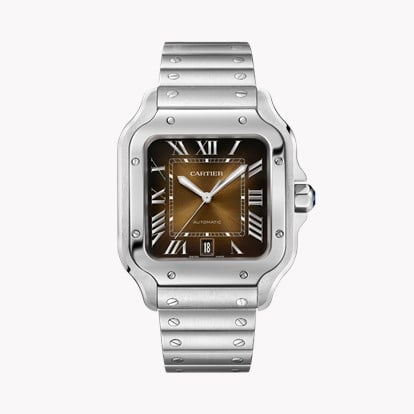 Cartier Santos de Cartier WSSA0064