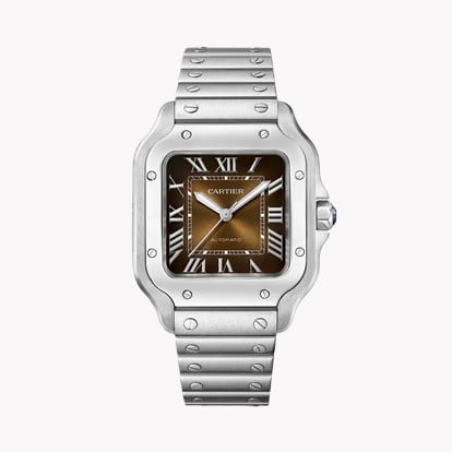 Cartier Santos de Cartier WSSA0065