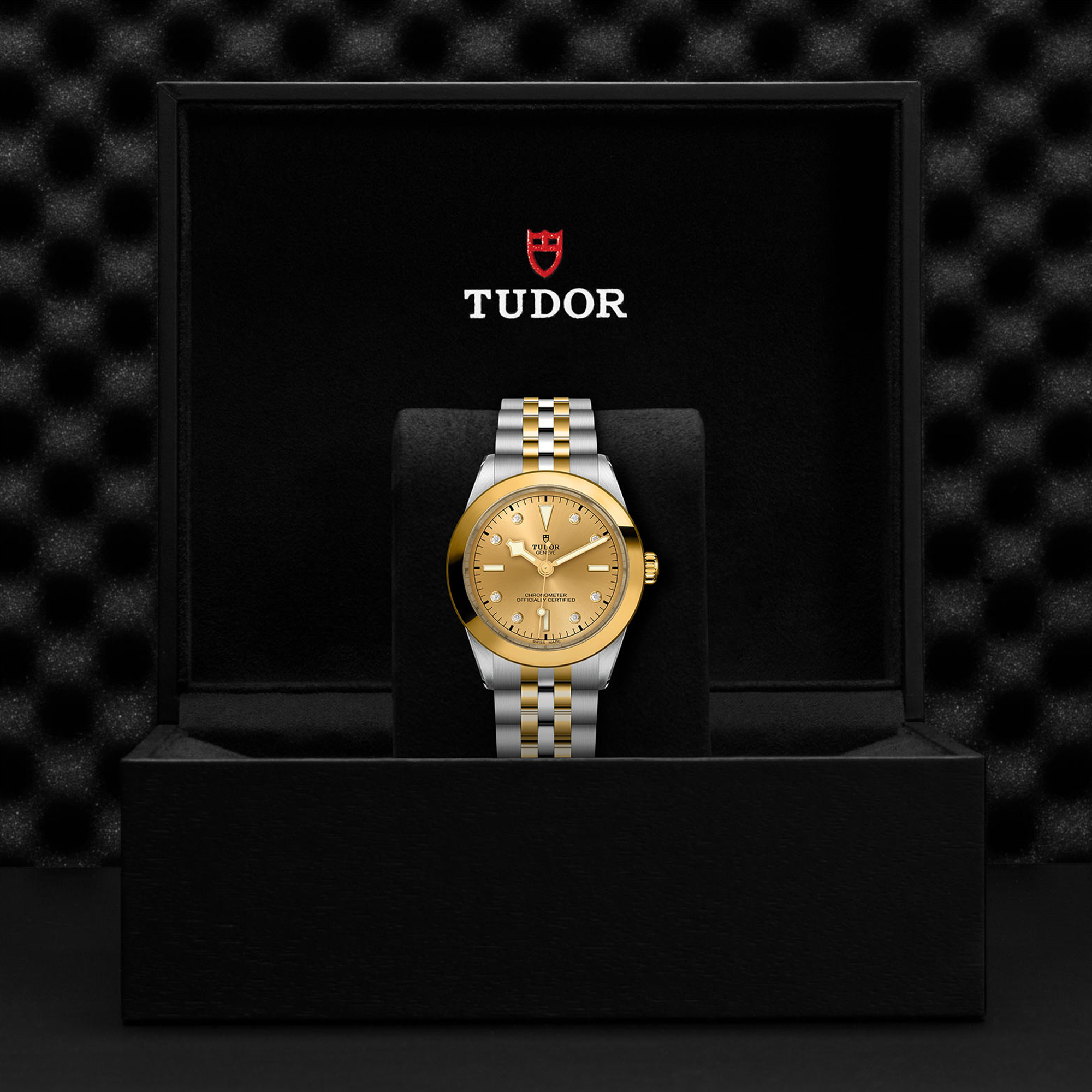 Tudor Black Bay 39mm, Gold Dial, Diamond Numerals_3