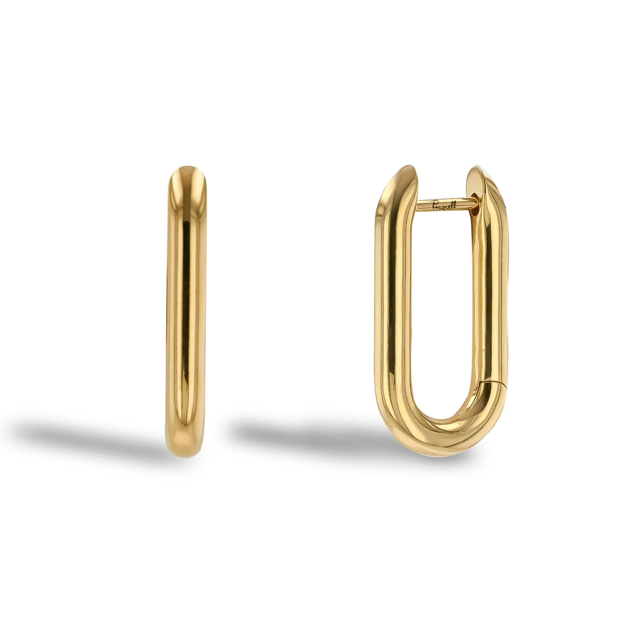 Havana Gold Oval Hoop Earrings _1