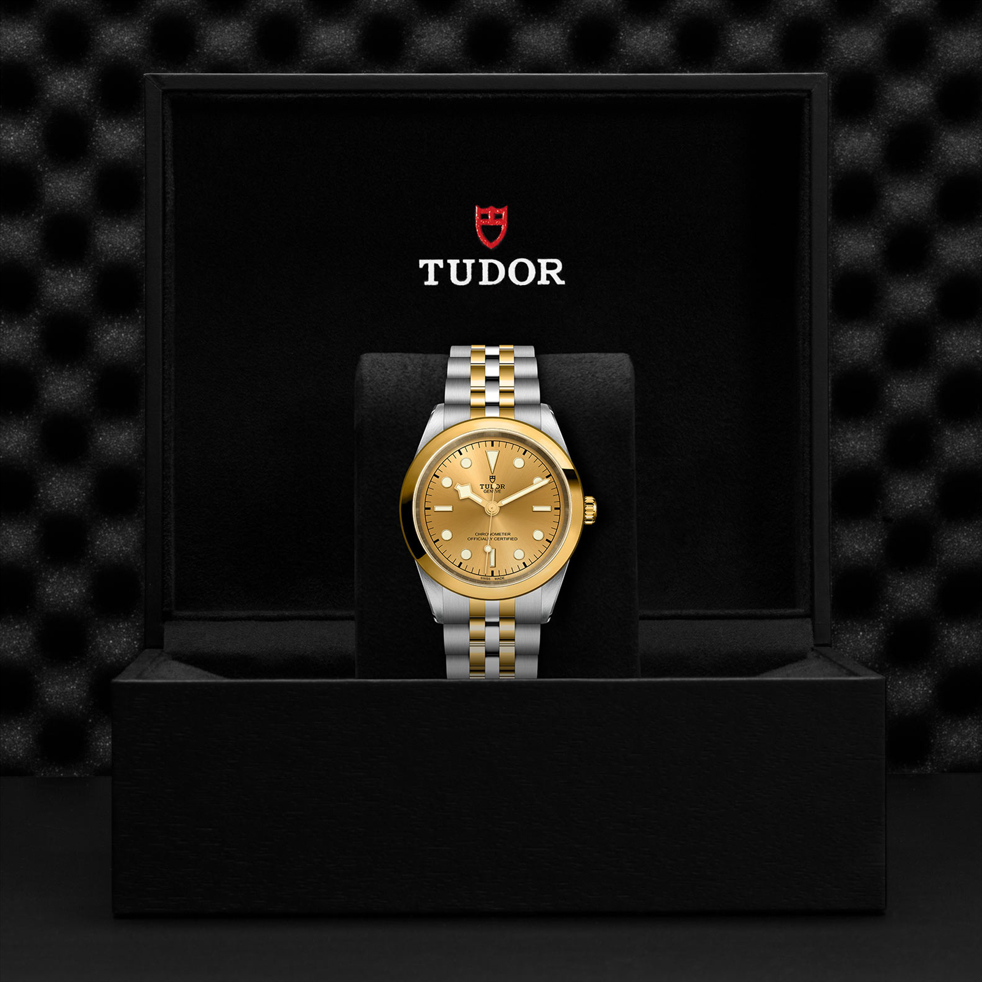 Tudor Black Bay 41mm, Gold Dial, Baton Numerals_3