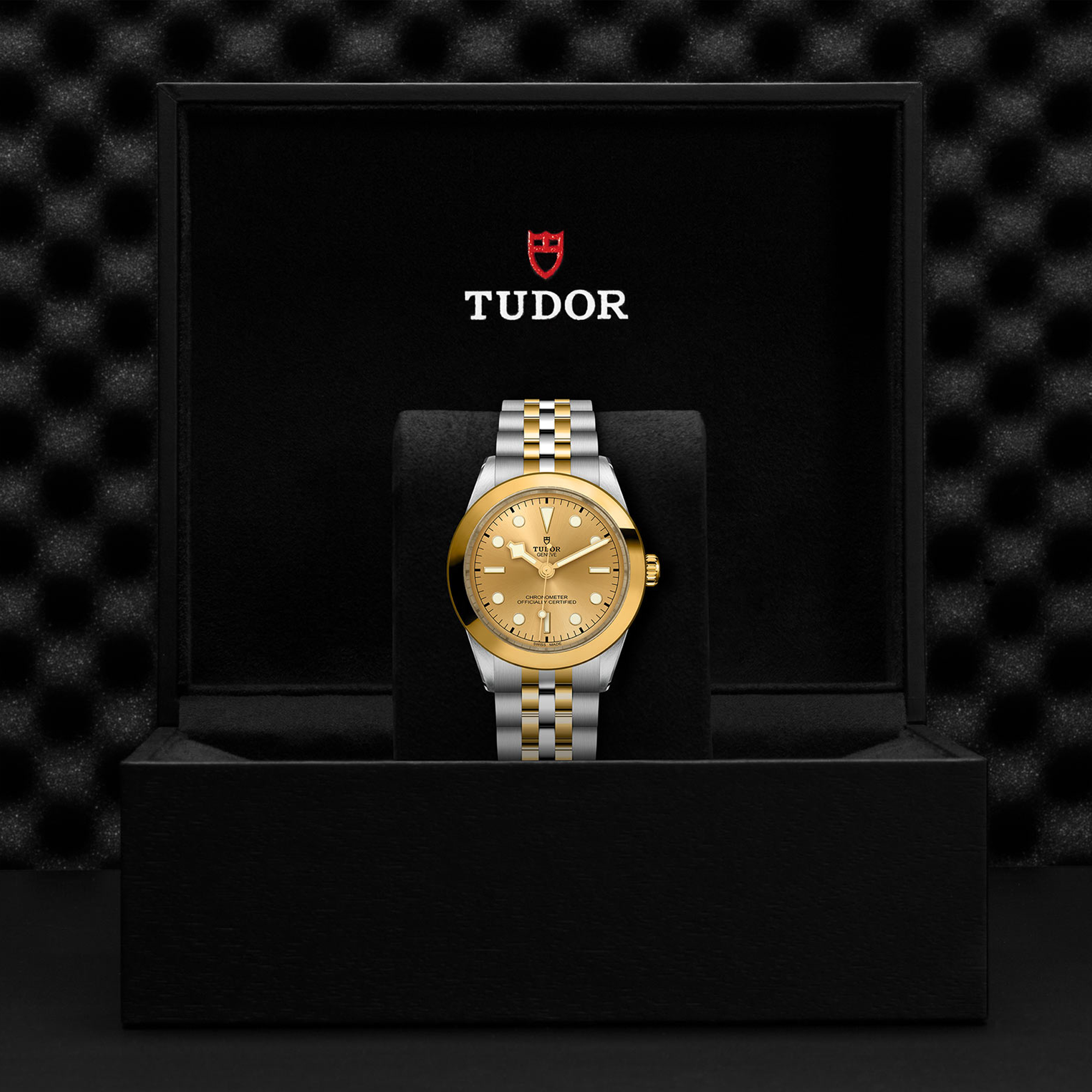 Tudor Black Bay 39mm, Gold Dial, Baton Numerals_3