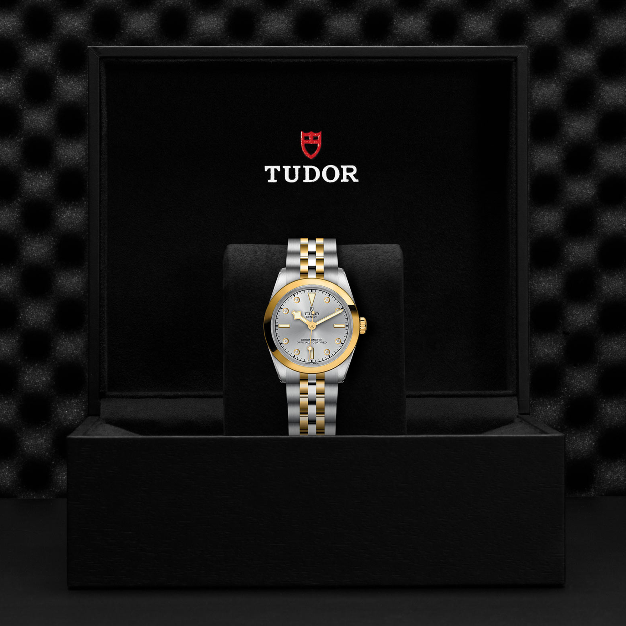 Tudor Black Bay 31mm, Silver Dial, Diamond Numerals_3