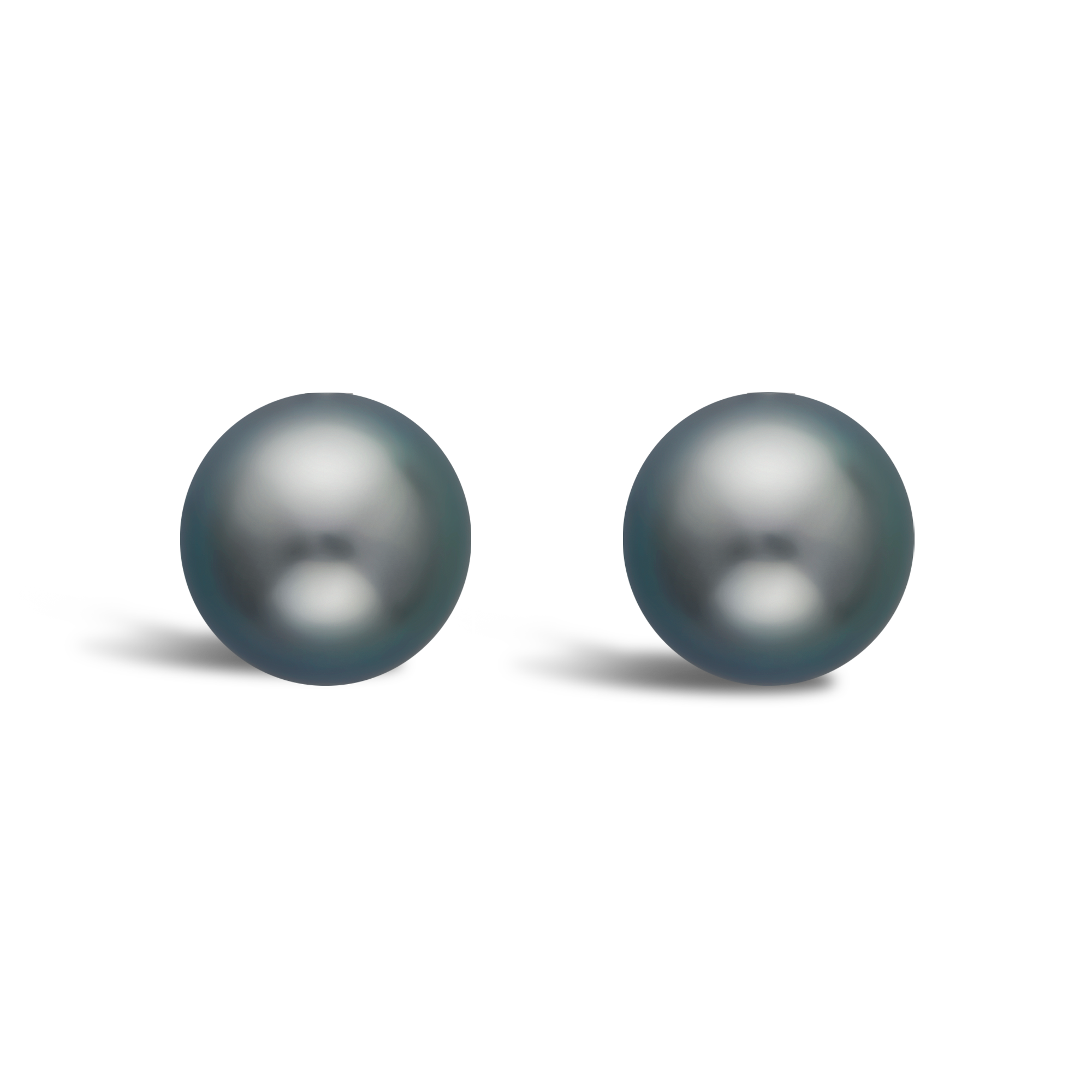 Tahitian Pearl Stud Earrings in 18ct White Gold 11-12mm_1