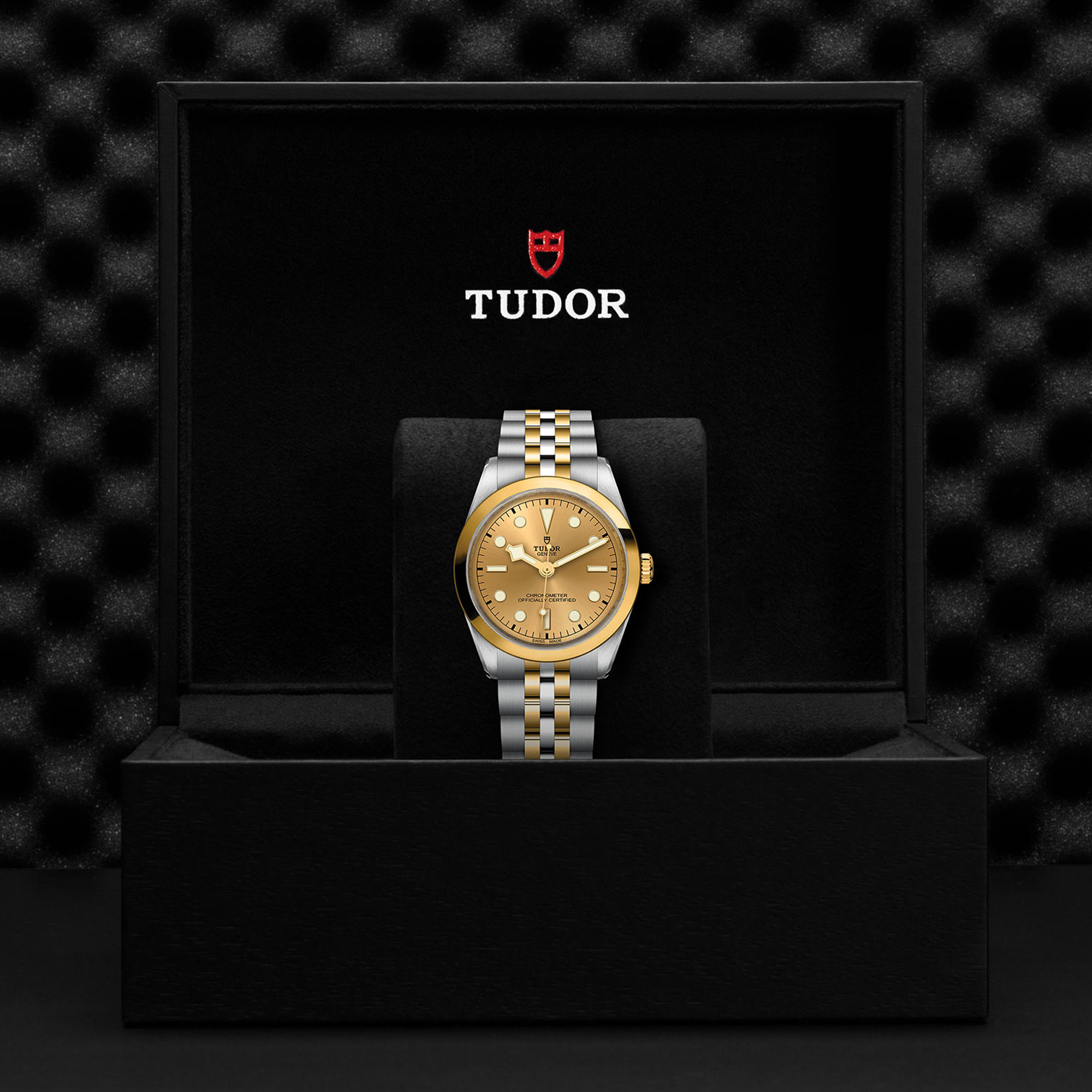 Tudor black bay on sale 36mm