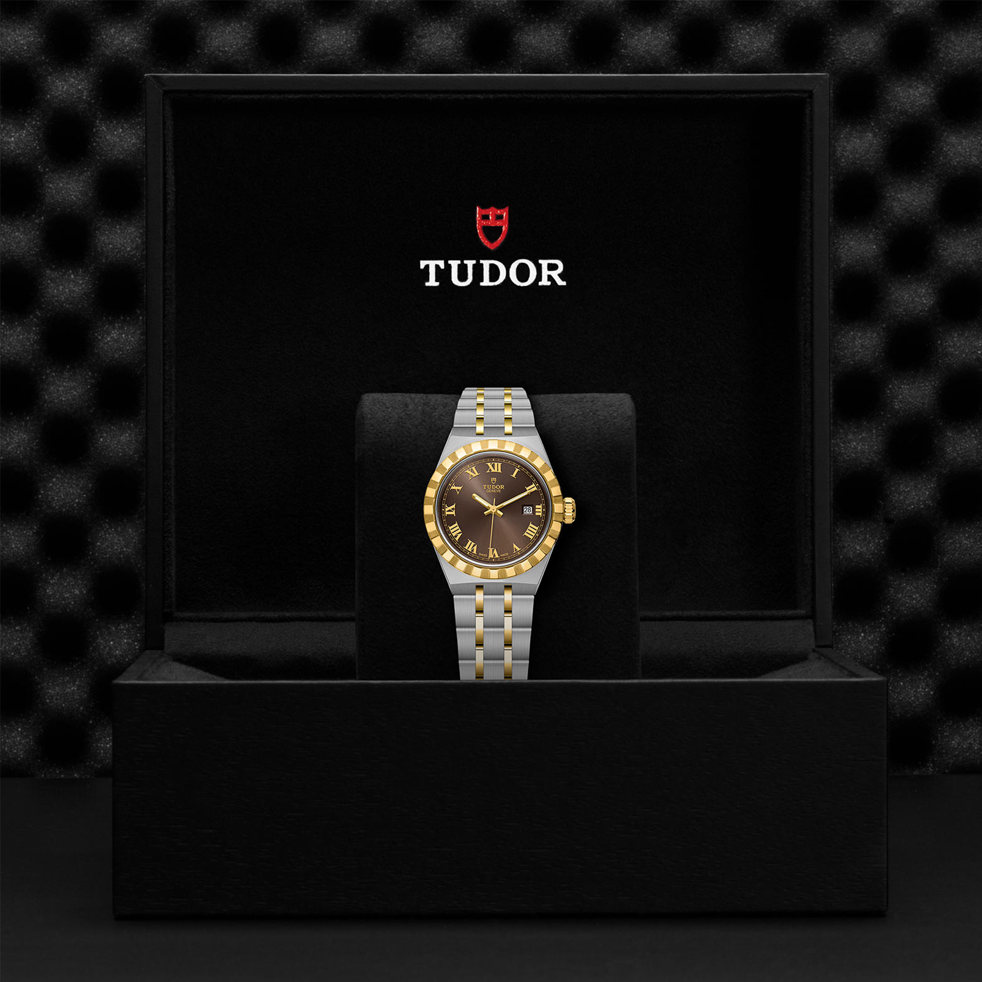 Tudor Royal 28mm, Brown Dial, Roman Numerals_3