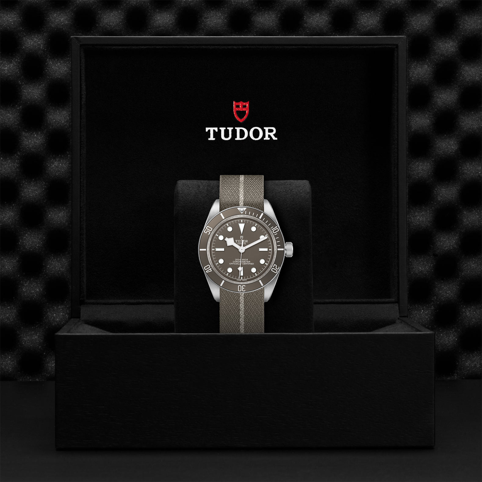 Tudor Black Bay Fifty-Eight 925 39mm, Taupe Dial, Baton Markers_3