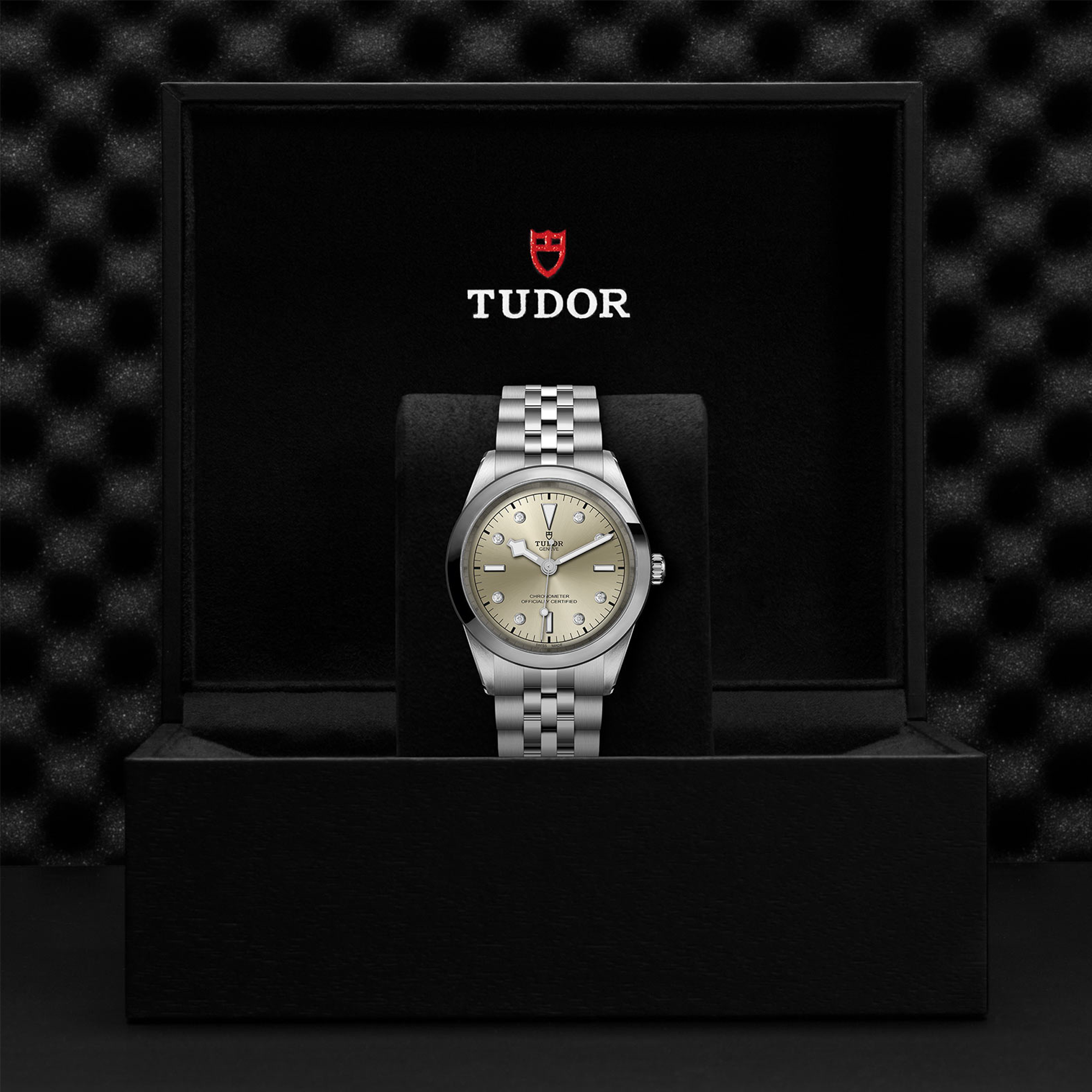 Tudor Black Bay 41 41mm, Champagne Dial, Diamond Numerals_3