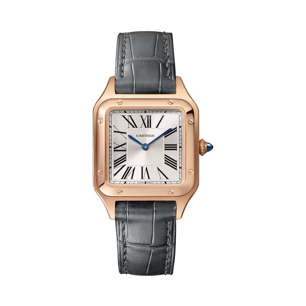 Cartier Santos 27.5mm, Silver Dial, Roman Numerals_1