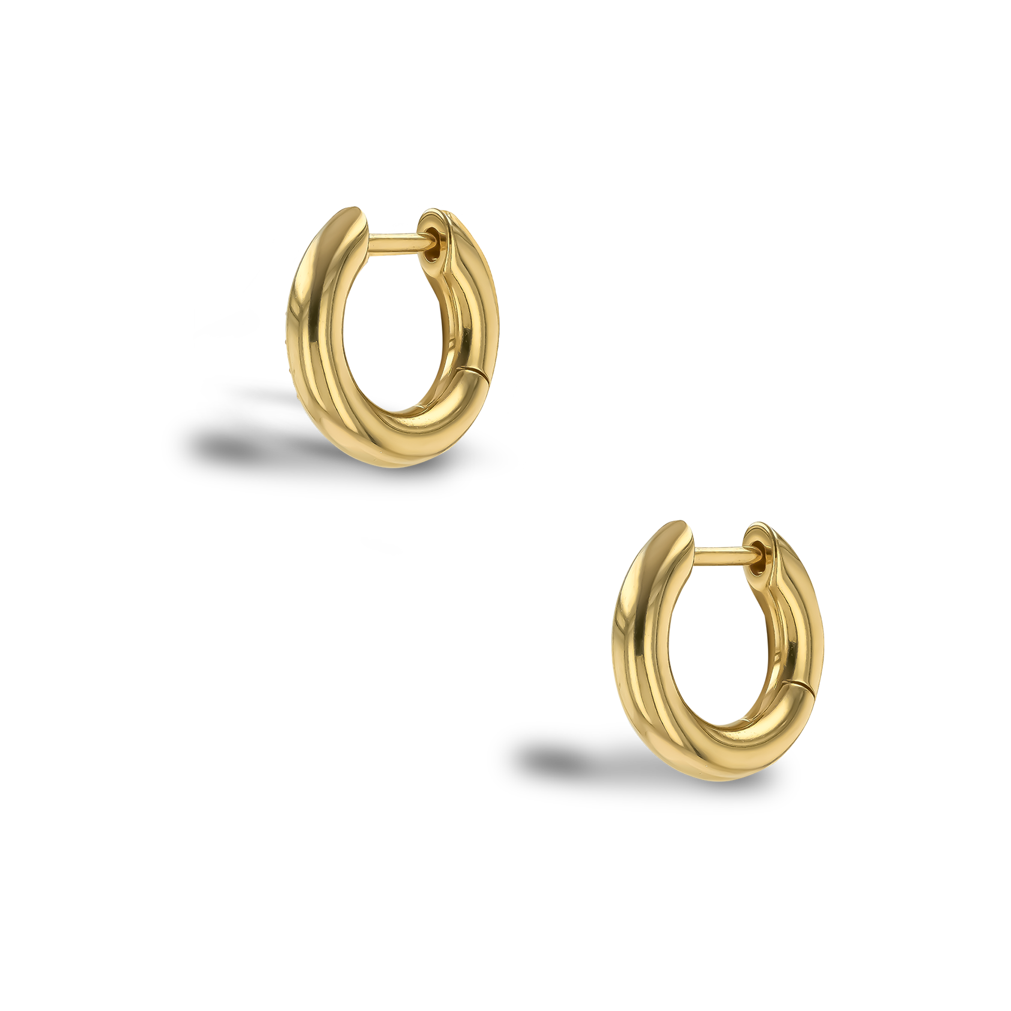 Havana Gold Hoop Earrings _3