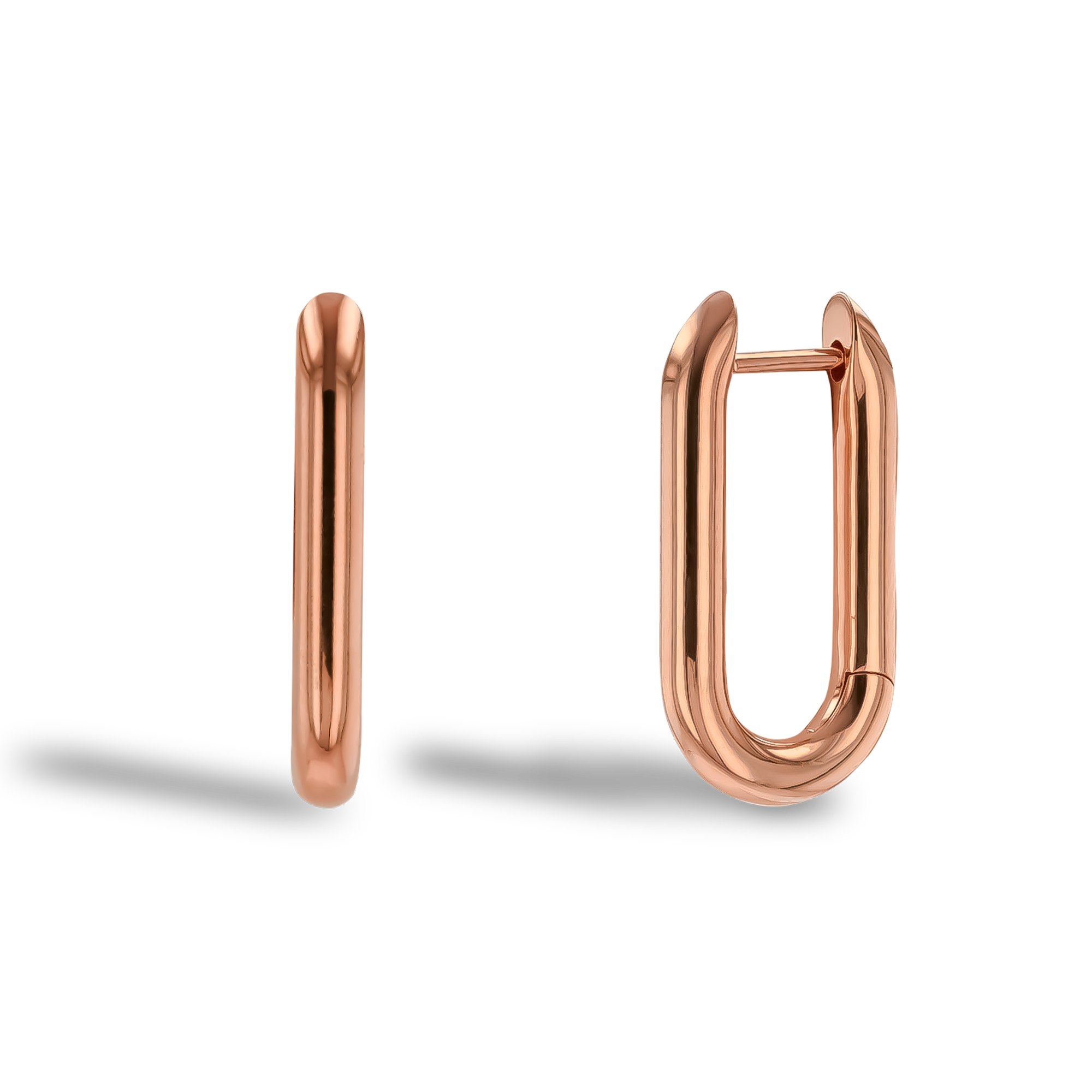 Havana Gold Oval Hoop Earrings _1