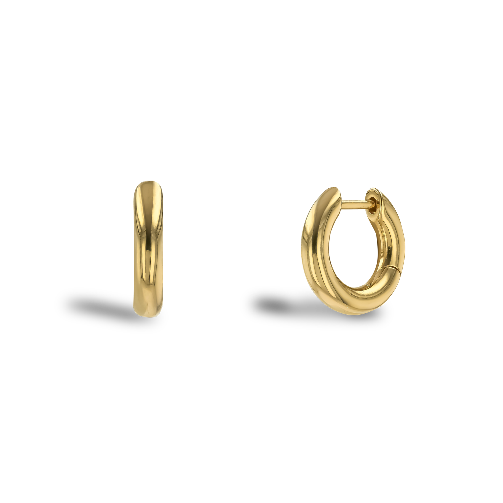 Havana Gold Hoop Earrings _1