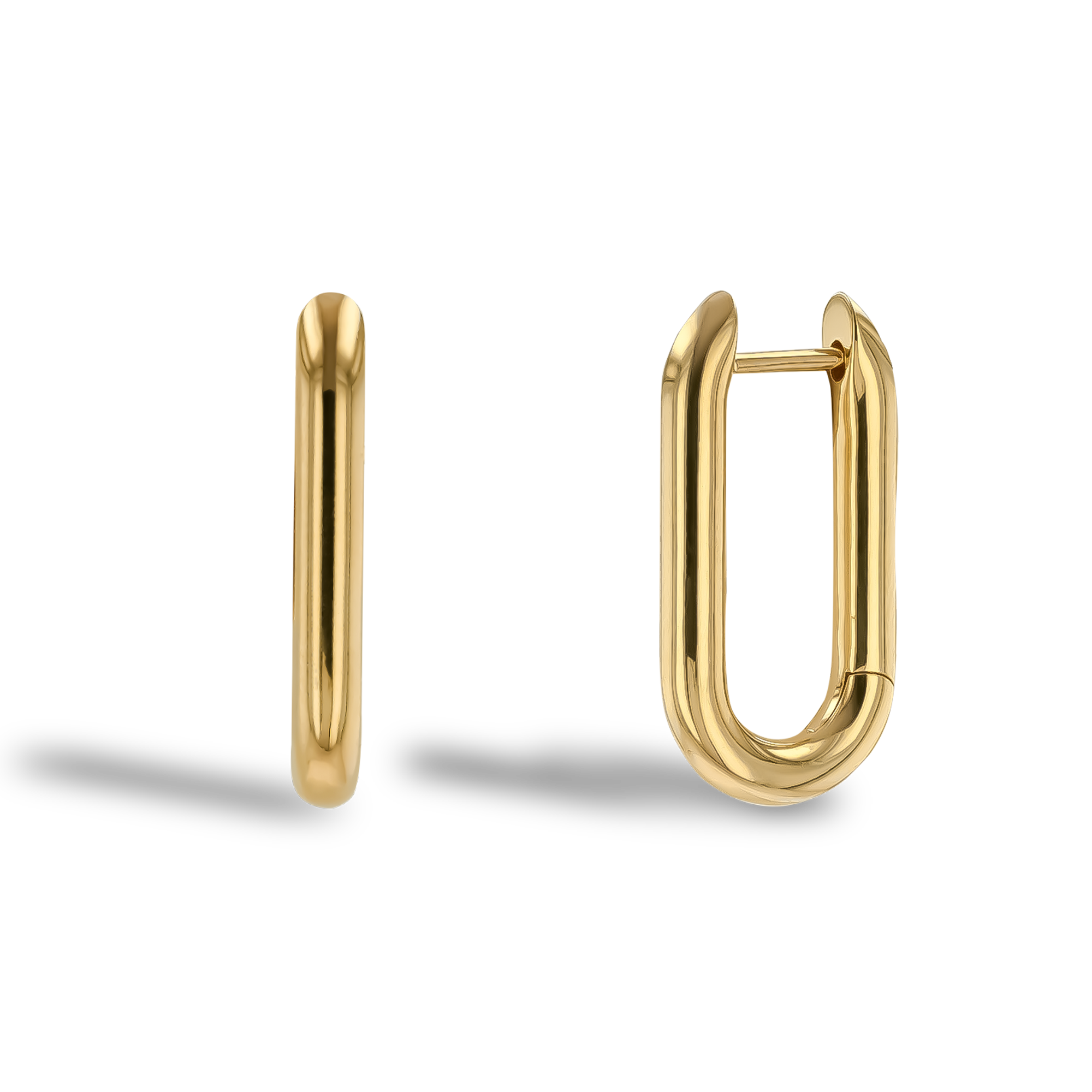 Havana Gold Oval Hoop Earrings _1