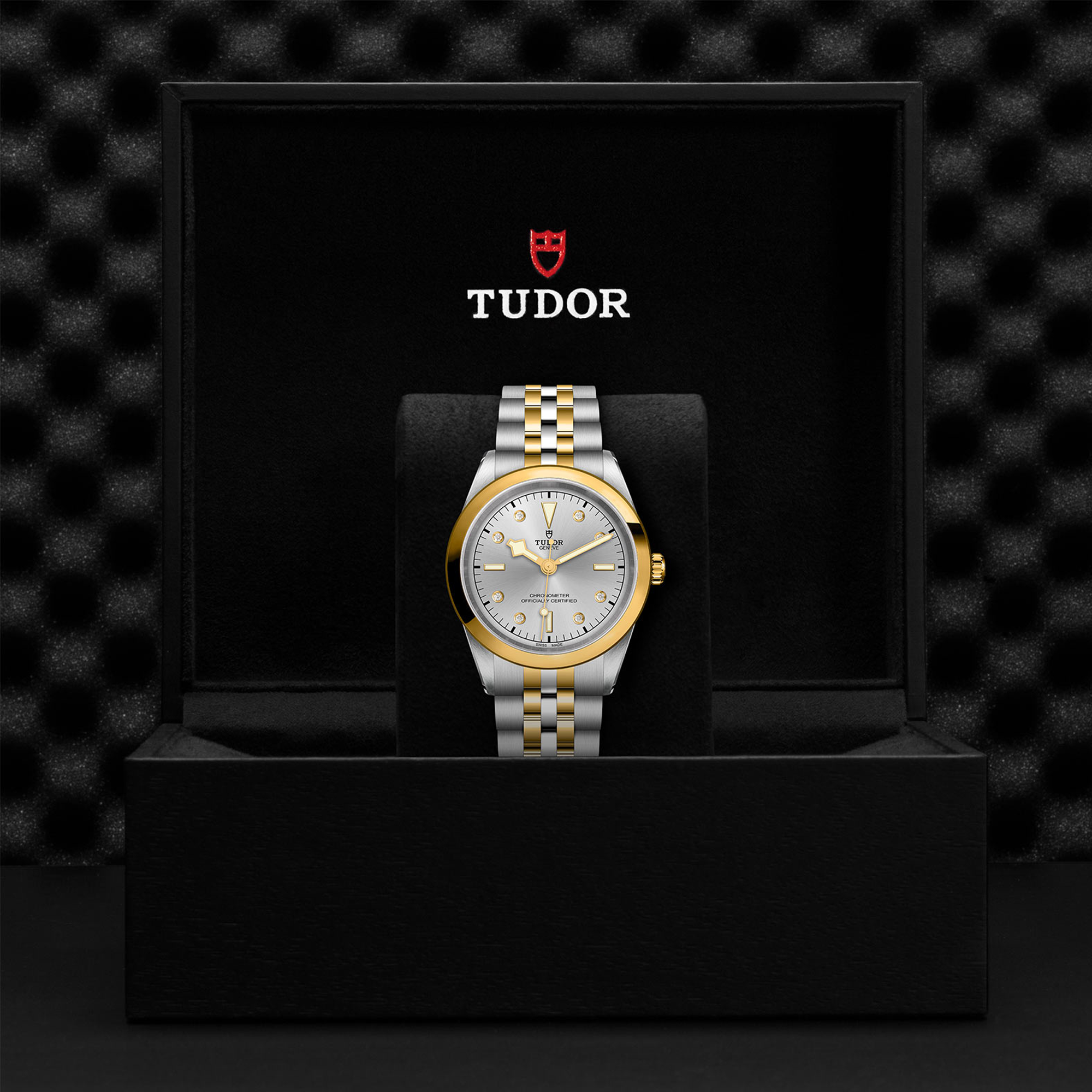 Tudor Black Bay 41mm, Silver Dial, Diamond Numerals_3