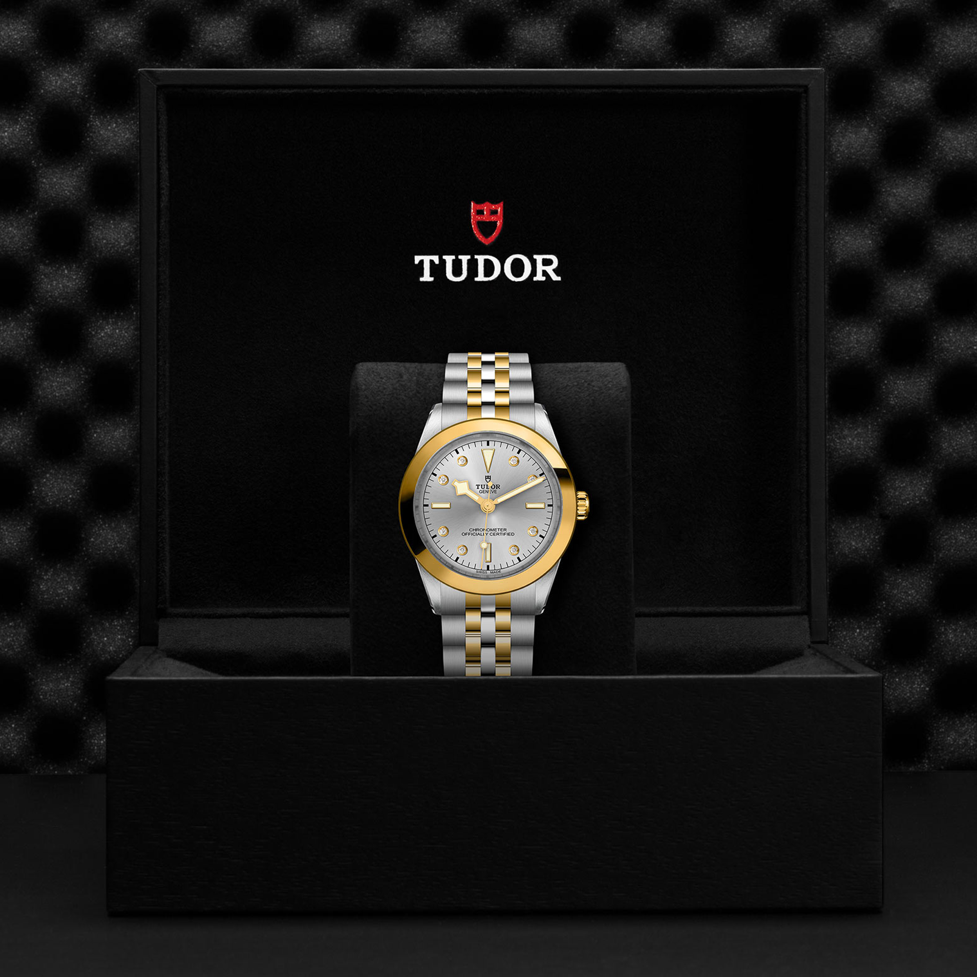 Tudor Black Bay 39mm, Silver Dial, Diamond Numerals_3