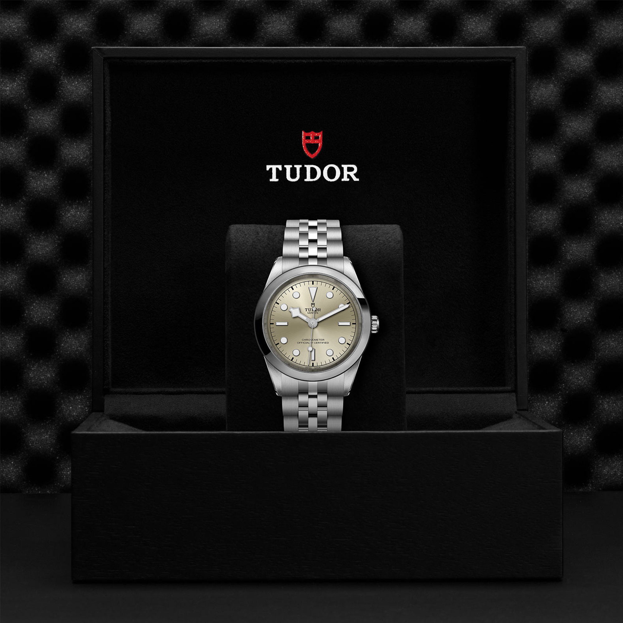 Tudor Black Bay 41 41mm, Champagne Dial, Baton Numerals_3