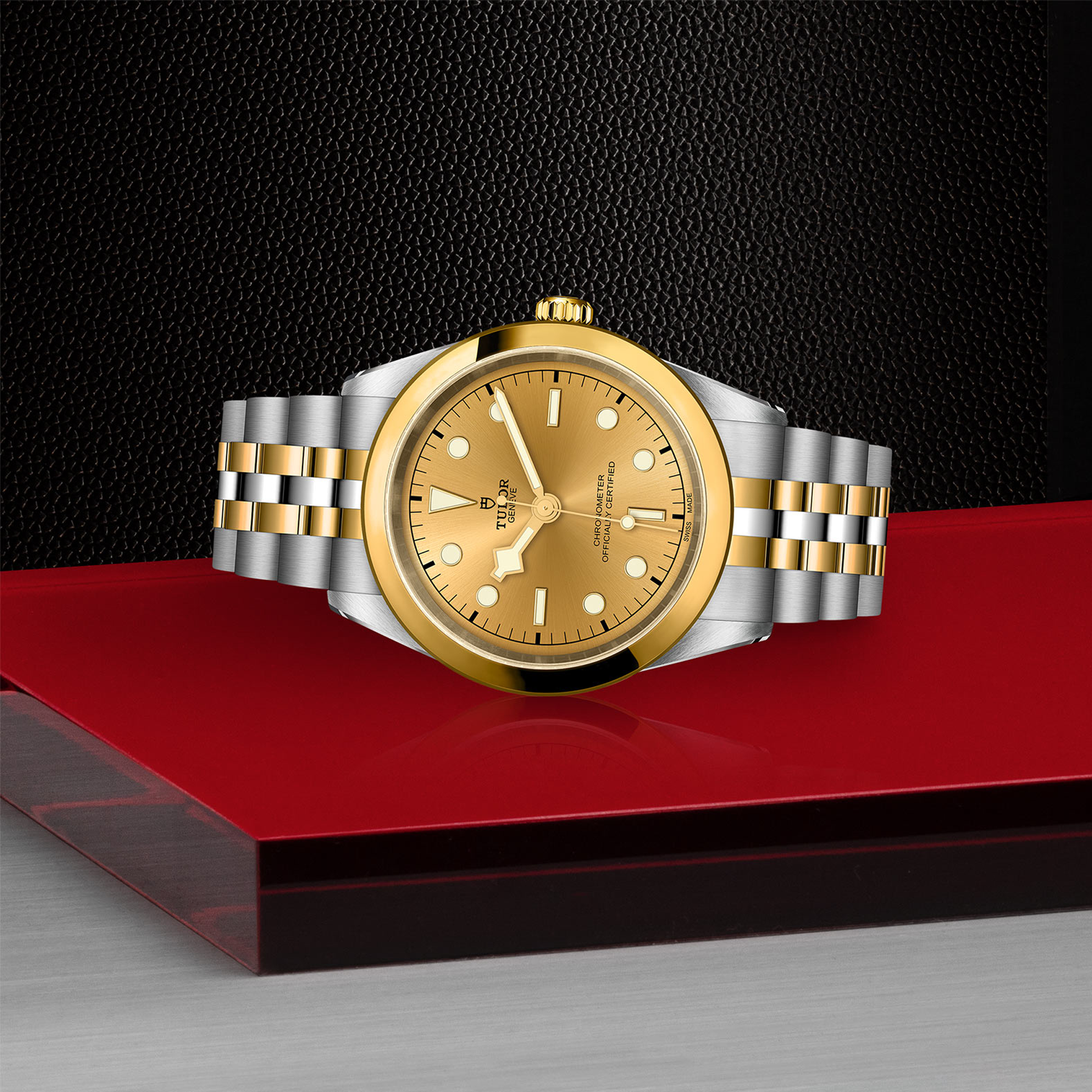 Tudor Black Bay 41mm, Gold Dial, Baton Numerals_2