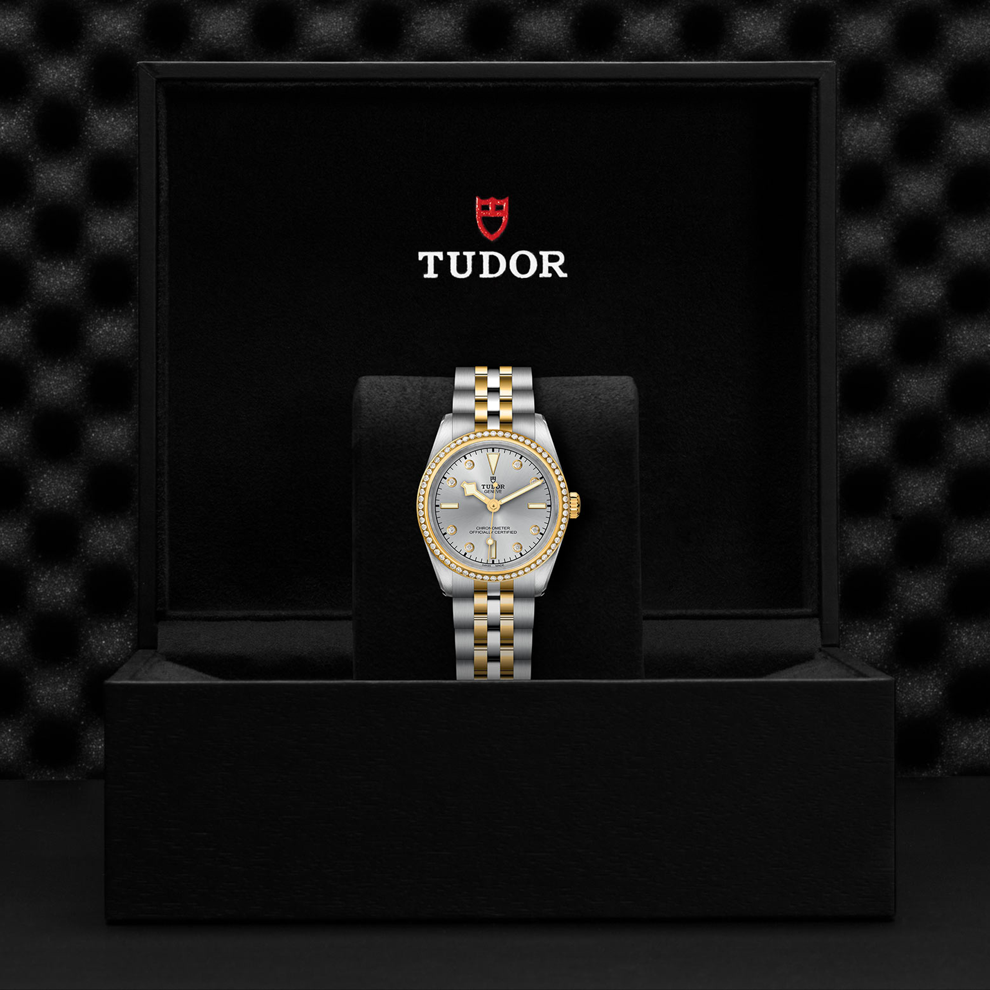 Tudor Black Bay 31mm, Silver Dial, Diamond Numerals_3